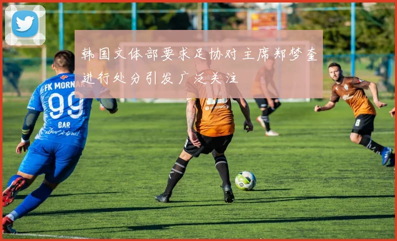 韩国文体部要求足协对主席郑梦奎进行处分引发广泛关注